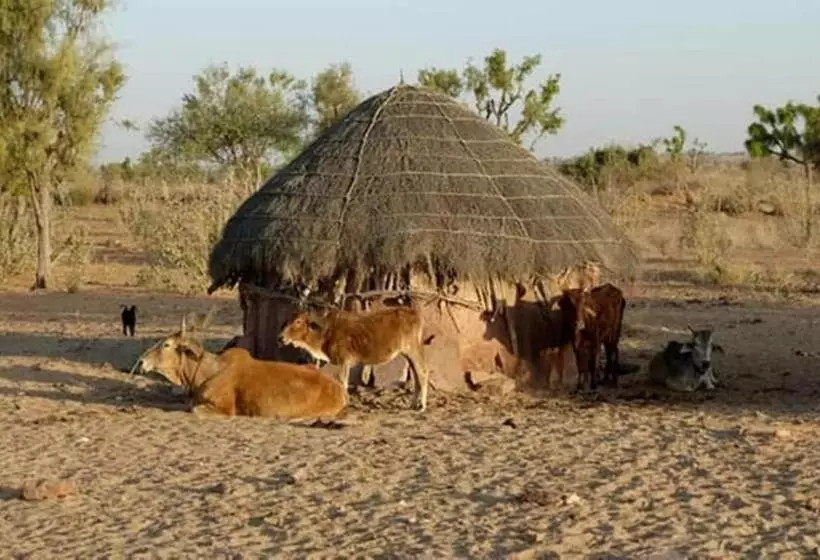 ホテル Griat Sandy Desert Camp Jaisalmer