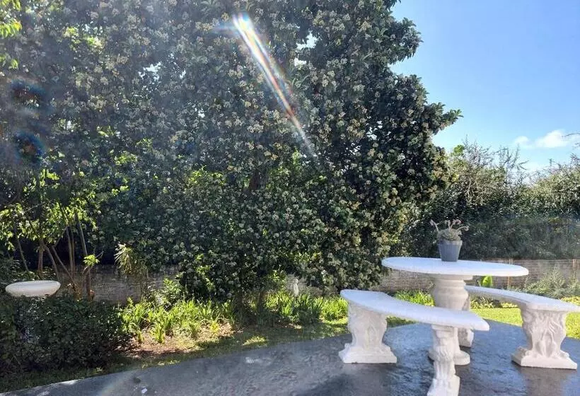 Majatalo Dreamaway On Everton   Deluxe Private Apartment