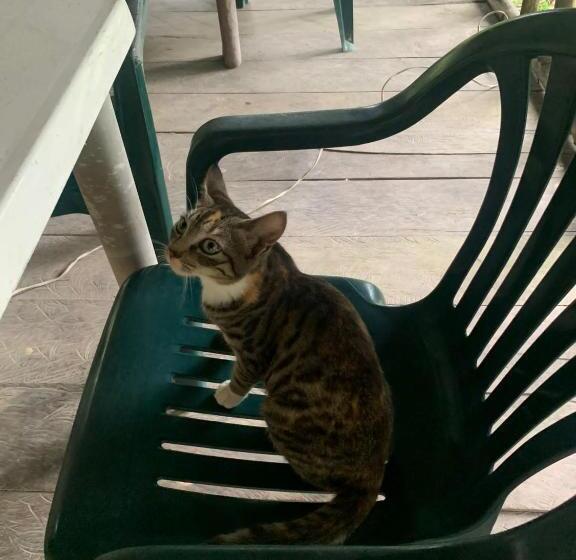 פנסיון La Finquita De Jamgara