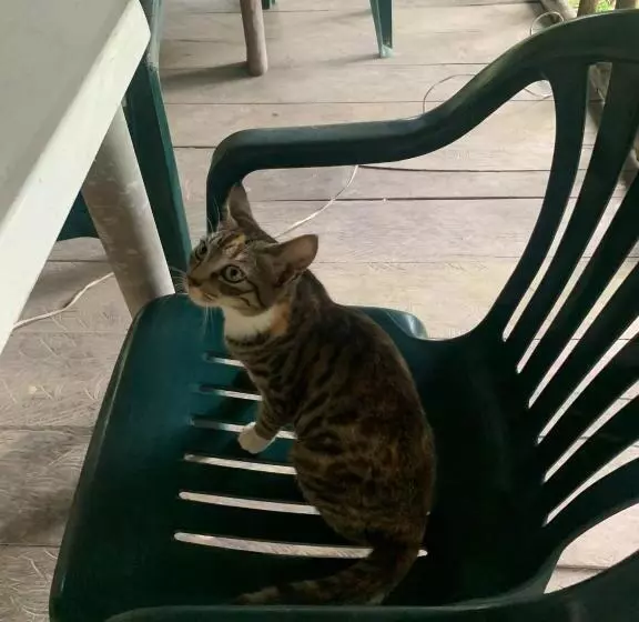 Majatalo La Finquita De Jamgara