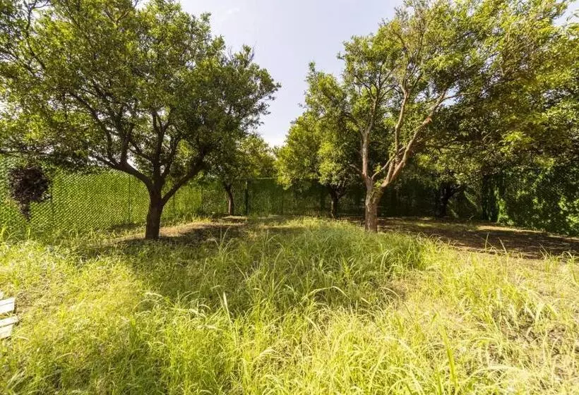 ペンション Peaceful Bungalow In Nature W Garden In Antalya