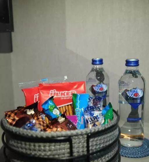 Dem Premium Hotel   Round Trip Airport Service   Istanbul International Airport