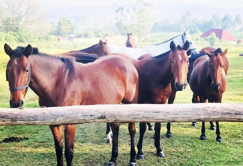 استراحتگاه Rwekishokye Country Club