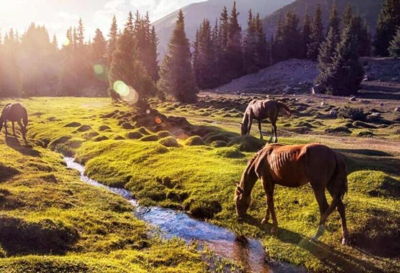 9cento B&b And Private Spa