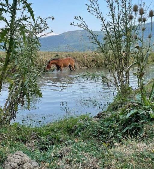 9cento B&b And Private Spa