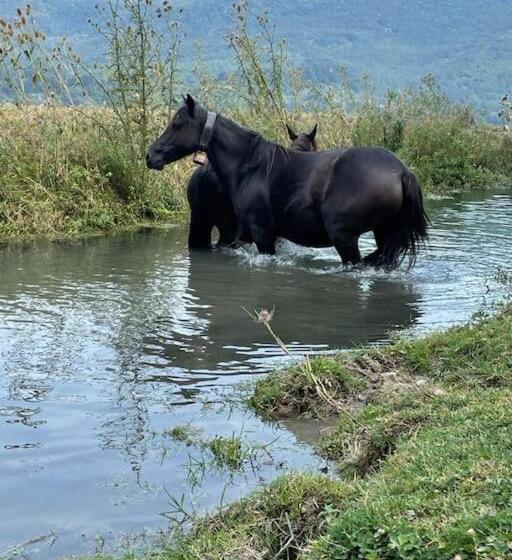 9cento B&b And Private Spa