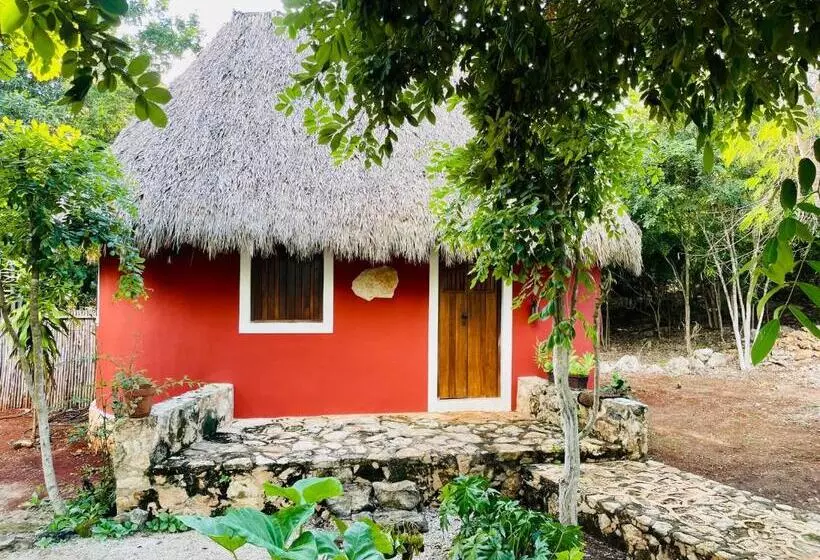 Aamiaismajoitus (B&B) Cabañas Hunab Ku 21