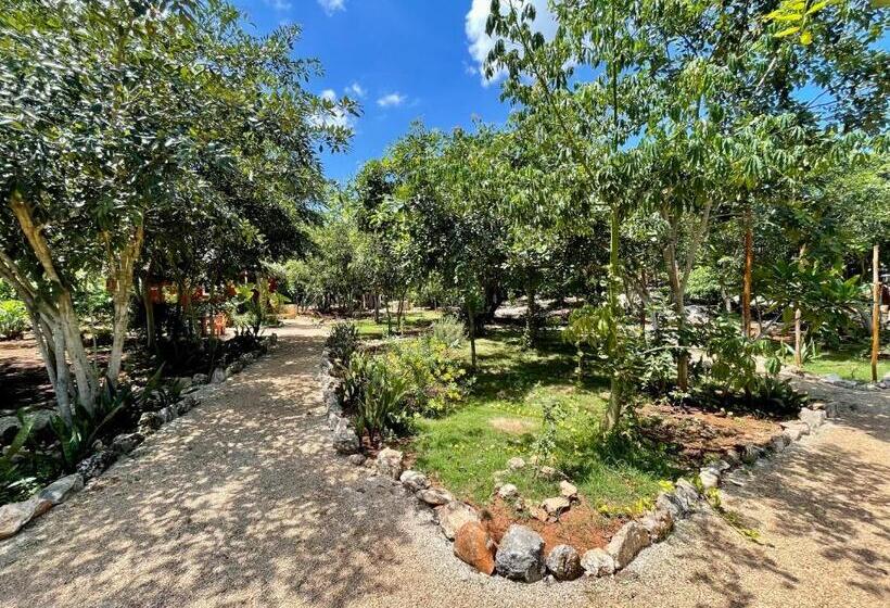 Bed and Breakfast Cabañas Hunab Ku 21