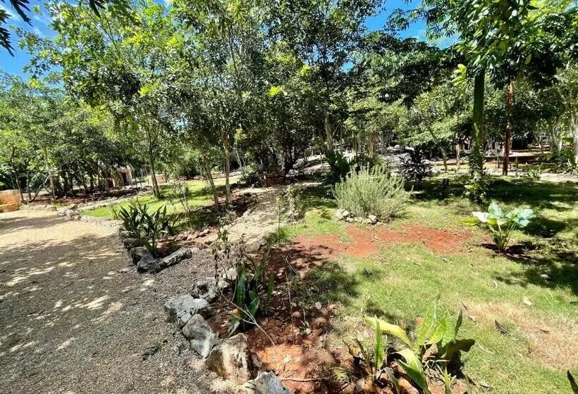 Aamiaismajoitus (B&B) Cabañas Hunab Ku 21