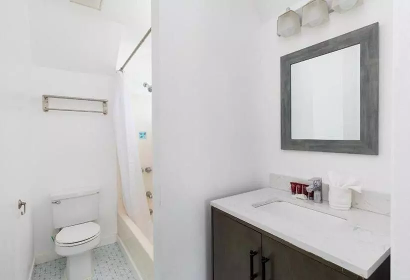 Aamiaismajoitus (B&B) Sunny Studio In The Heart Of Venice   B