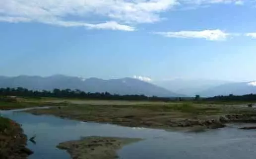 Dooars View Resort