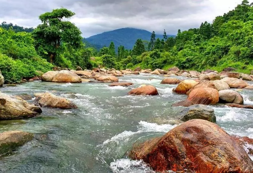 Dooars View Resort