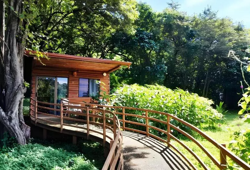 Hotelli Hacienda Angeles