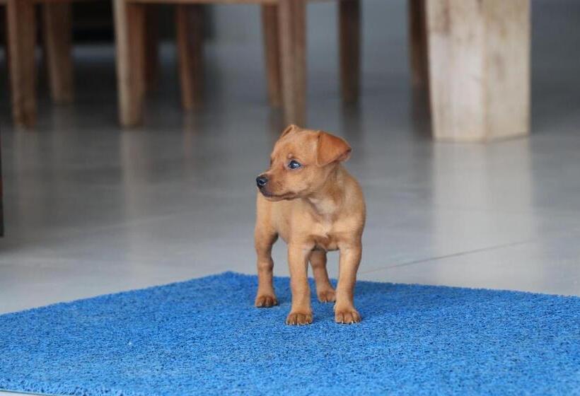 Hotel Pousada Kasarão Praia Grande Ubatuba