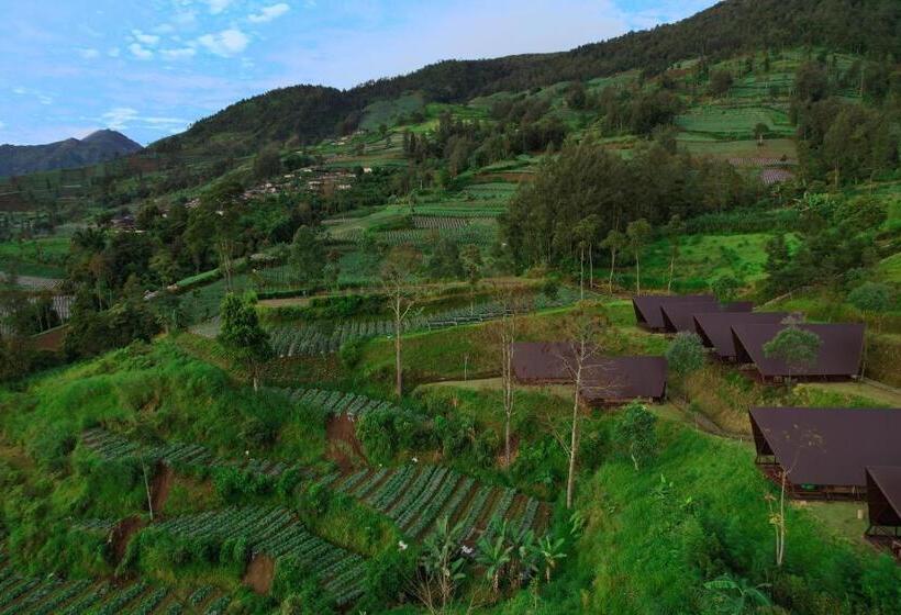 Kema Merbabu Powered By Cocotel