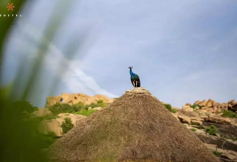 Retkeilymaja Zostel Hampi