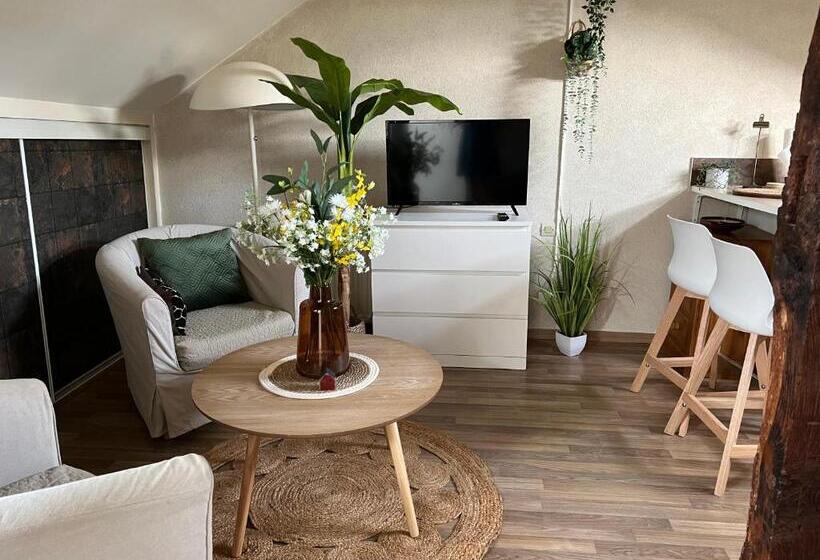 مبيت وإفطار La Madeleine