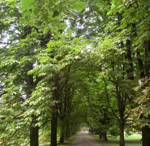 민박 Palazzo Bonfiglioli