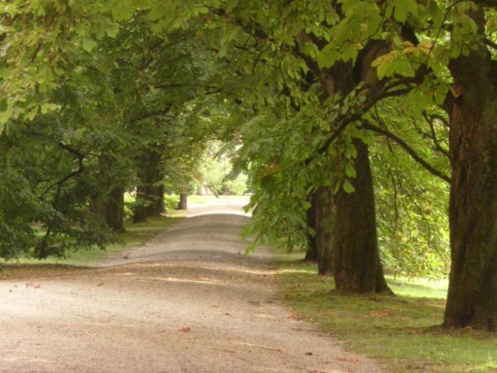 민박 Palazzo Bonfiglioli