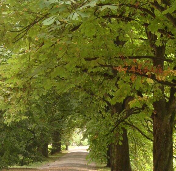 민박 Palazzo Bonfiglioli