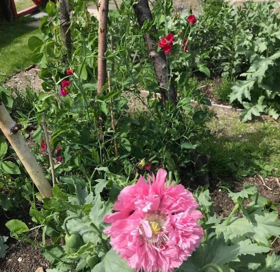 مبيت وإفطار The Old School, Kingussie