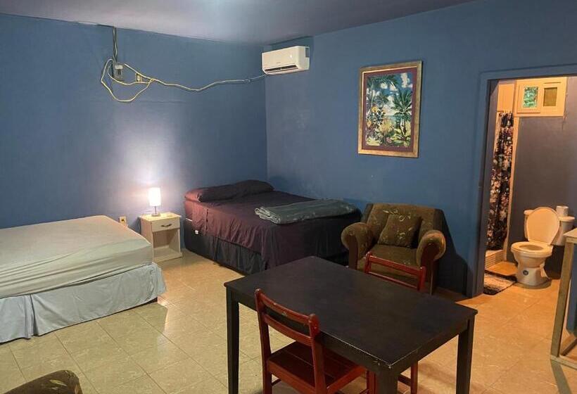 هتل Airport Inn Roatan