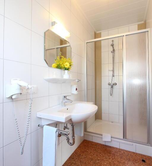 Hotel Brauereigasthof Rothenbach