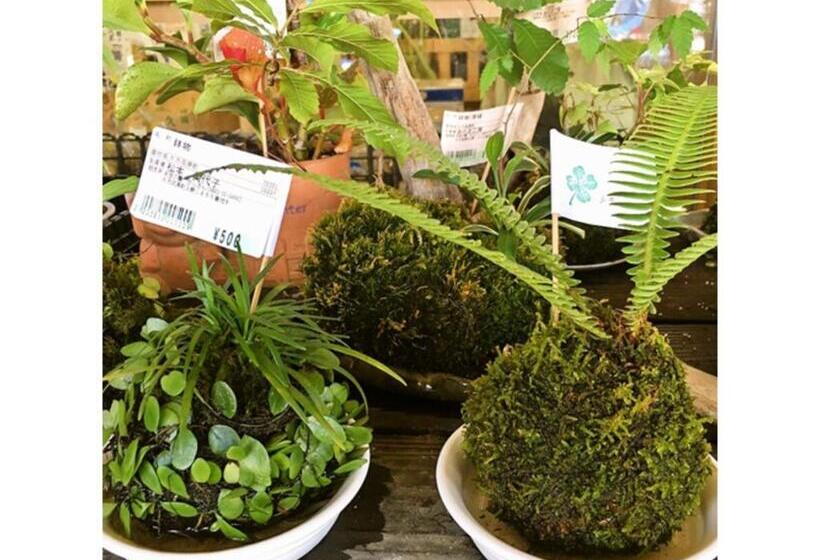 Hotel Furuiwaya Soh   Vacation Stay 35504v