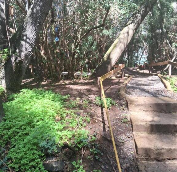 ホテル Granja Lo Zarate