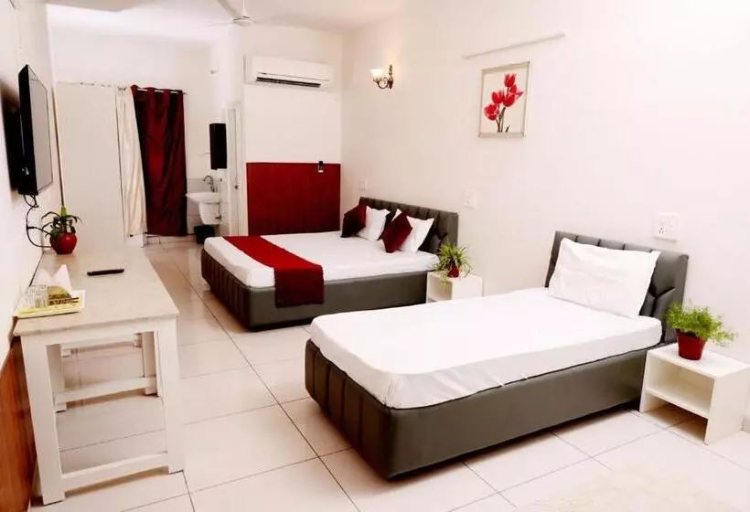 ホテル Patiala Inn