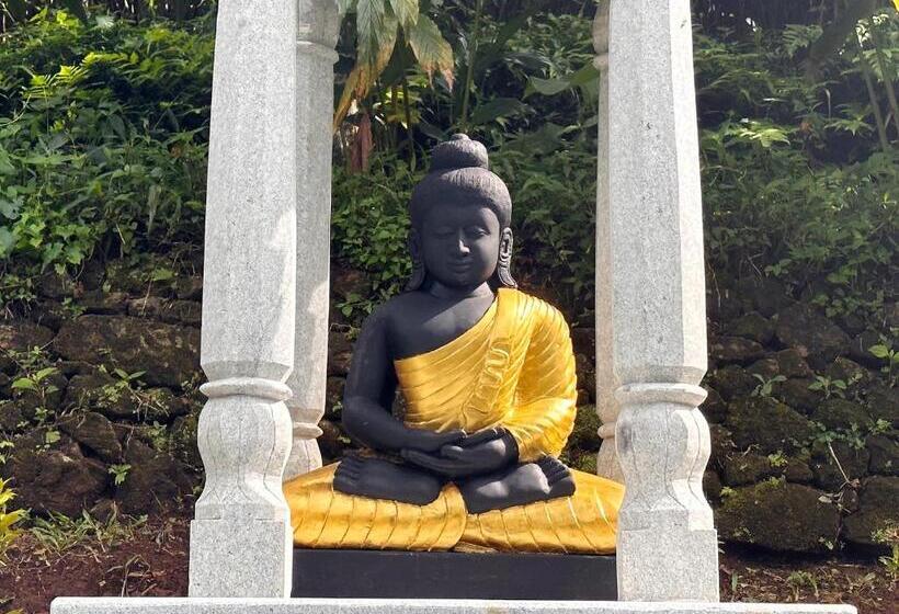 ホテル Viceroy Luxury Mountain Resort And Spa