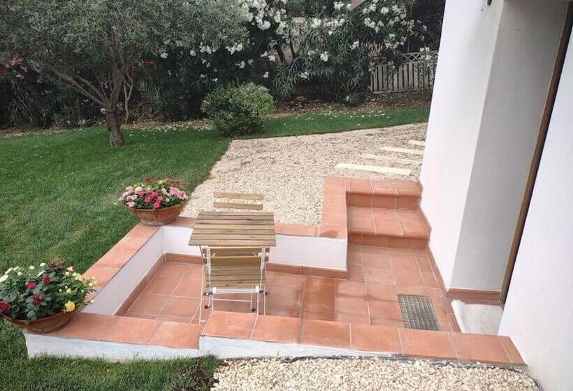 بنسيون Camera Sole