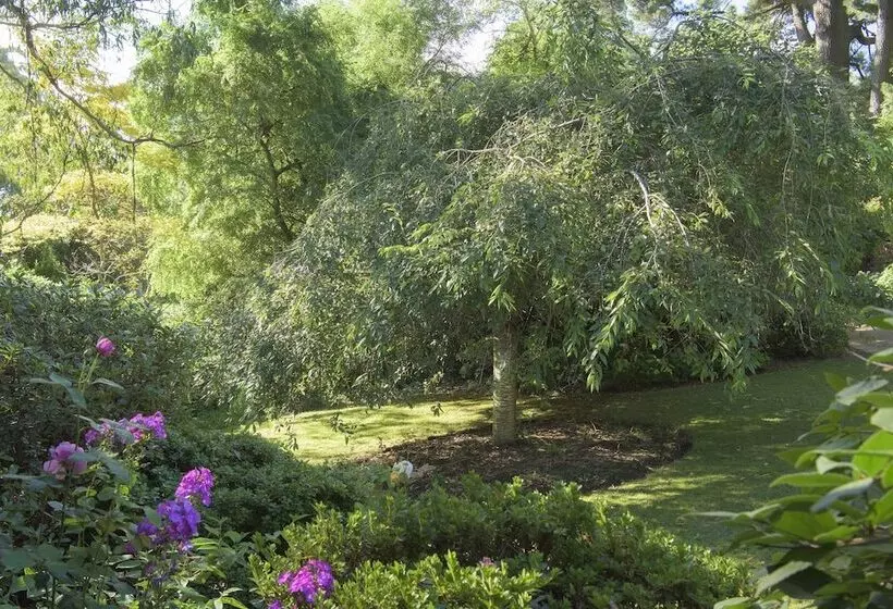 Aamiaismajoitus (B&B) Botanica Retreat   Village Spa & Stay