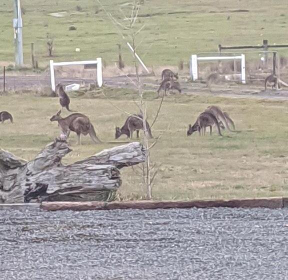 צימר Country Luxury