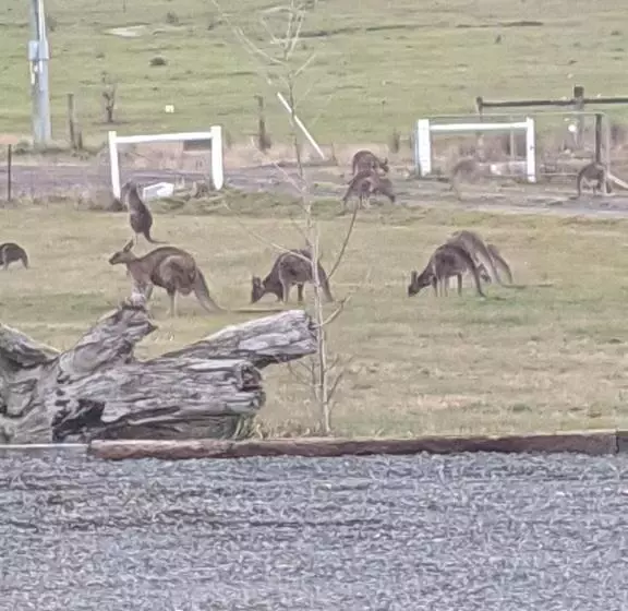 Aamiaismajoitus (B&B) Country Luxury