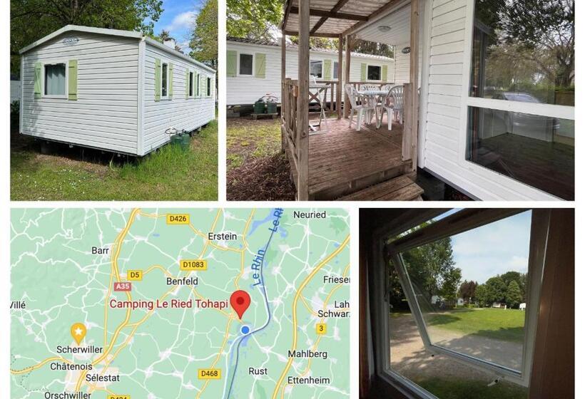 住宿加早餐  Les Pinots D Alsace   3 Bungalows Climatisés Avec Tv   Proche Europa Park