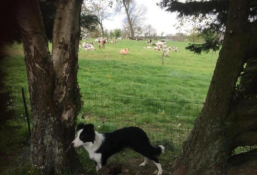 مبيت وإفطار Sourdevalle