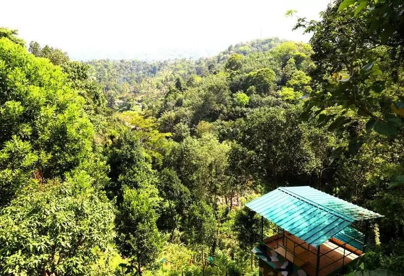 Green Magic Riverside Resort
