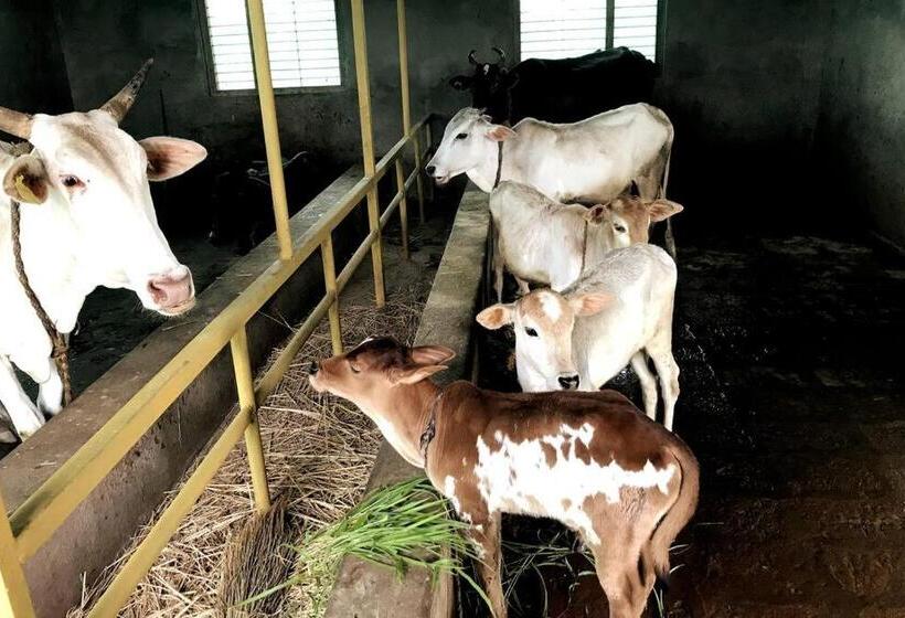 Hotell Mars Jungle Adventure Stud Farm With Private Jacuzzi