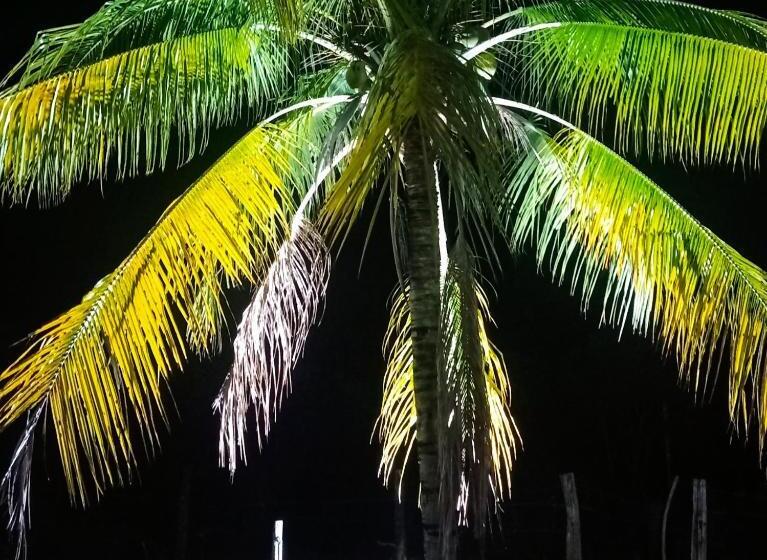 فندق Pousada Diadorim Terra Ronca