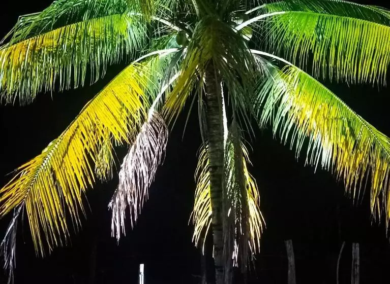 Hotelli Pousada Diadorim Terra Ronca