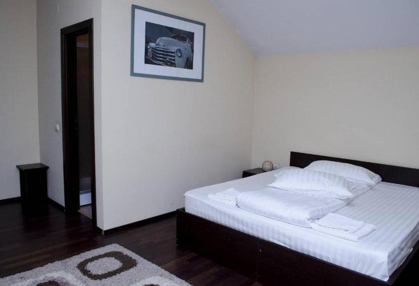 ペンション Casa Tudor