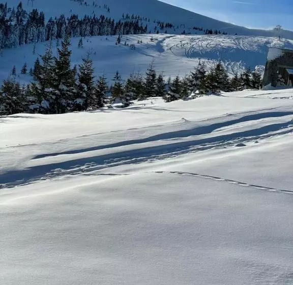 Hotelli горизонт