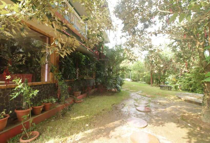 בית מלון כפרי Birders Den Eco Resort