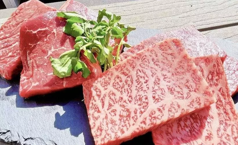 Hotelli Springs Village Tanzawa Spa Resort