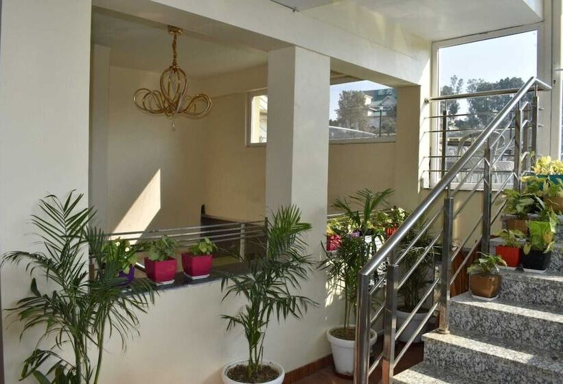 Hotel The Mango Tree