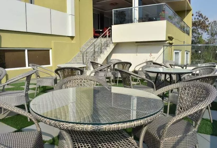 هتل The Mango Tree