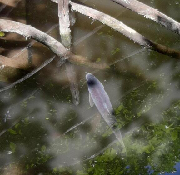 膳宿费 готель сауна водопад