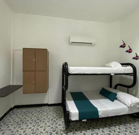 펜션 Believer Hostel