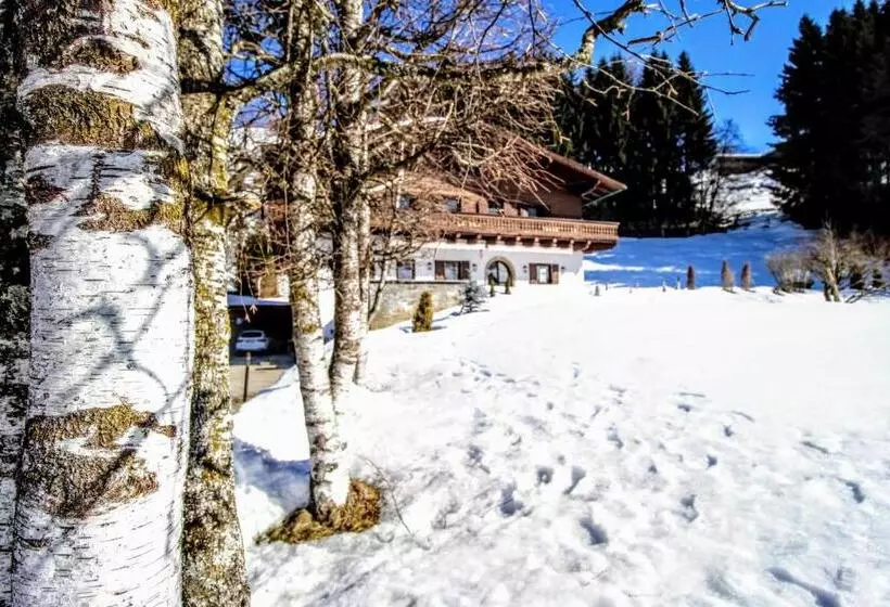 Pension Hattinger